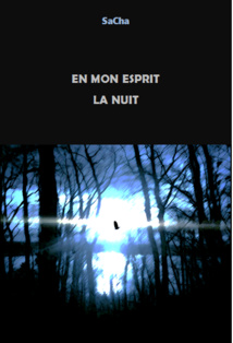 En mon esprit la nuit. Episode 12.