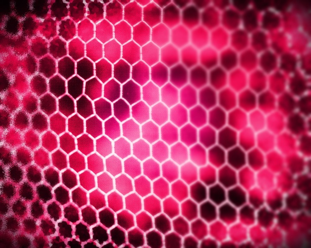 Monologue intérieur - Downtown 5 - Dans la peau d'un porc Monologue intérieur - Downtown 5 - Dans la peau d'un porc