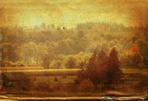 Creative Common Licence Creative Common Licence