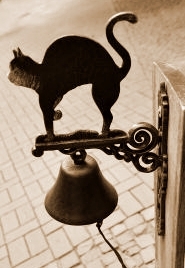 Quid novi? Quid novi?