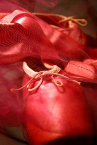 Spectacle: "Cours de Ballet... Ballet de Cour!" Spectacle: "Cours de Ballet... Ballet de Cour!"