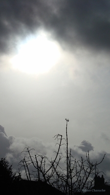 (c) Sabine Chaouche - Cours les Barres 2011 (c) Sabine Chaouche - Cours les Barres 2011