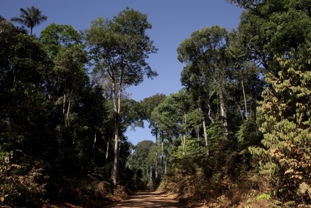 (c) SV. Roads of Amazonia 5 (2011) (c) SV. Roads of Amazonia 5 (2011)