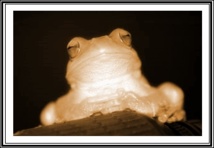 E-quick learning: Le texte de théâtre et sa représentation E-quick learning: Le texte de théâtre et sa représentation