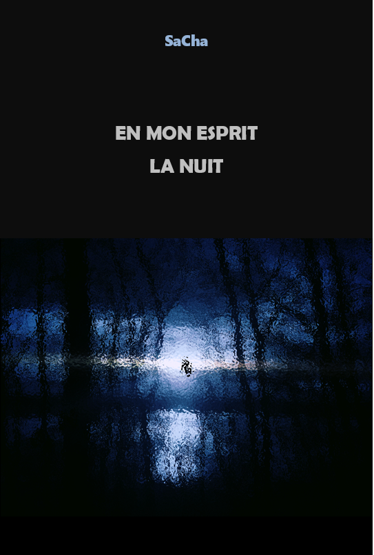 En mon esprit la nuit. Episode 4.