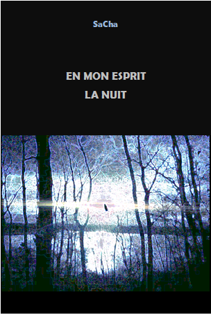 En mon esprit la nuit. Episode 17.