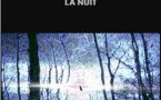 En mon esprit la nuit. Episode 17.