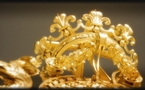 Sciences et curiosités à la cour de Versailles. Par Noémie Courtès.