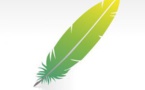 Méthodologie de la dissertation : exemple d'une dissertation (1 500 mots)