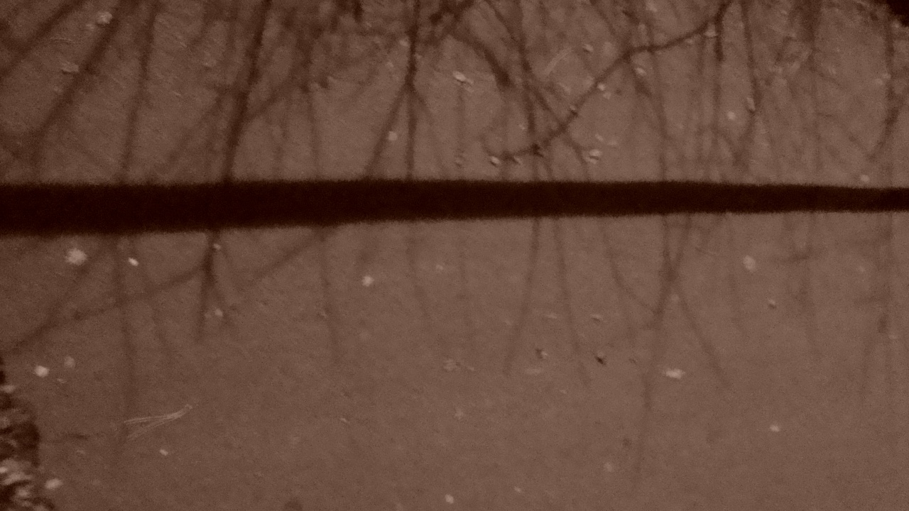 DSC07343 DSC07343
