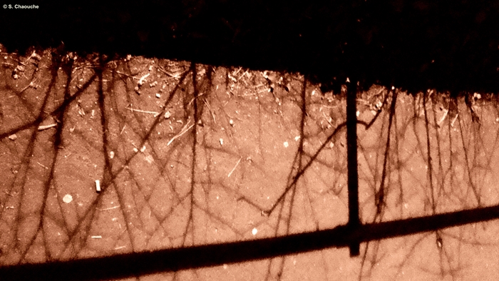 DSC07344 DSC07344