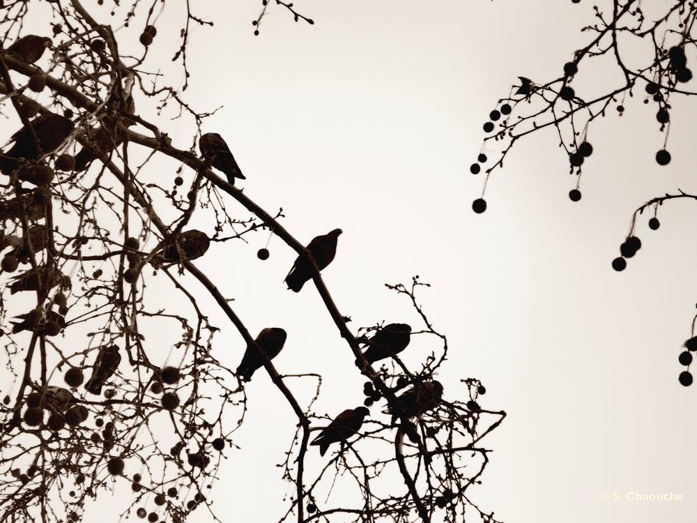 March 2012 548 3 March 2012 548 3