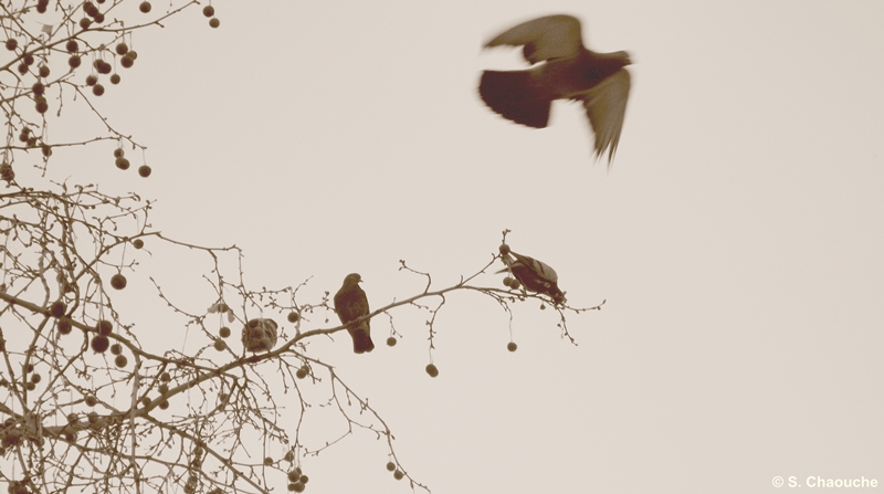 March 2012 551 March 2012 551