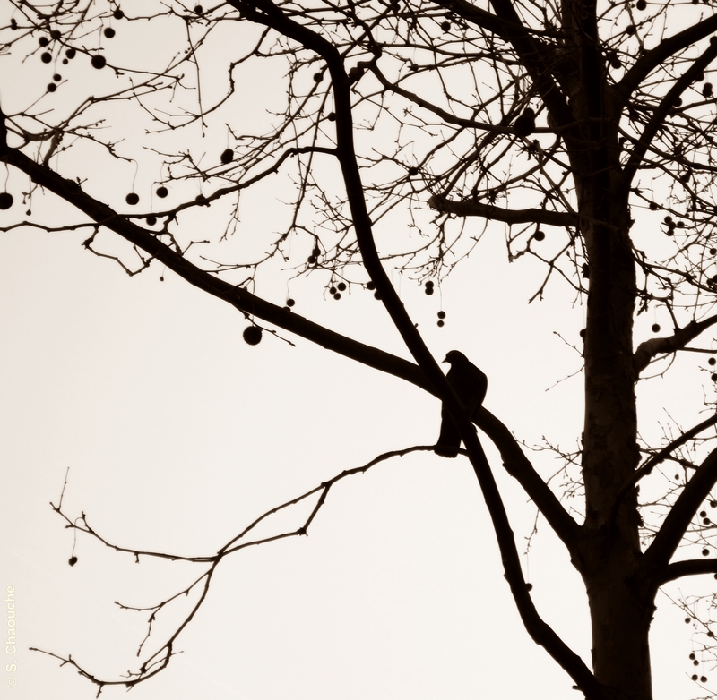 March 2012 556 3 March 2012 556 3